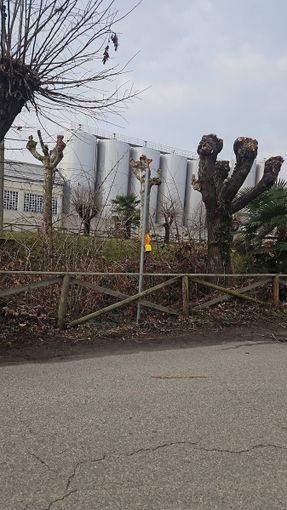 Ghemme, vandalizzati i cartelli stradali sul Lungo Mora