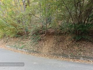 Tenta di sfuggire alle forze dell'ordine e cade in un dirupo FOTO Mattia Baù per newsbiella.it