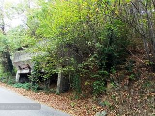 Tenta di sfuggire alle forze dell'ordine e cade in un dirupo FOTO Mattia Baù per newsbiella.it