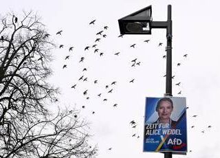 Germania, Afd primo partito: il sondaggio premia l'estrema destra