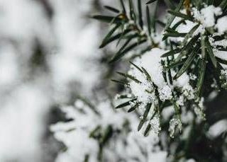 Temperature giù di 10 gradi, colpo di coda dell'inverno sull'Italia