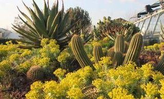 L' Università di Roma Tor Vergata apre orto botanico a scuole e cittadini per esperienza sostenibile