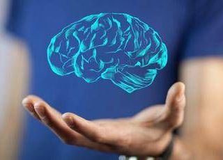 Il cervello cresce e invecchia, i 4 compleanni importanti per la mente: lo studio