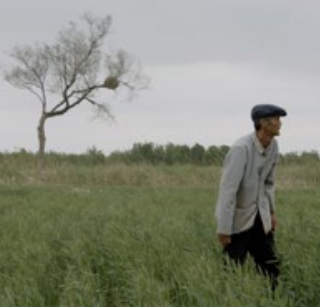 Al via la nuova edizione del festival &quot;Corto e Fieno&quot;