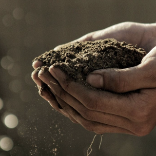 L’allarme di Coldiretti Piemonte: "La cementificazione ci costa 1,2 miliardi di euro di cibo all’anno"