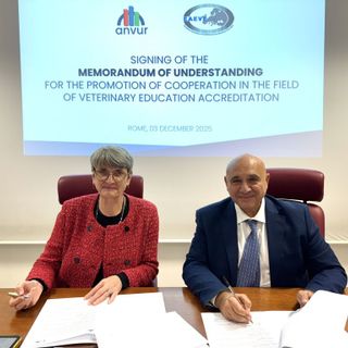 ANVUR-EAEVE: un’intesa per la valutazione della qualità in Medicina Veterinaria