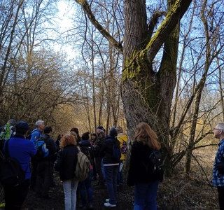 Quando il clima cambia cosa succede alla biodiversità
