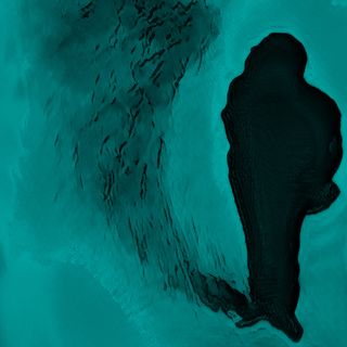 Un omaggio a Joseph Conrad con Giuseppe Culicchia