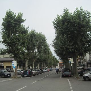 Ordinanze per eventi e sicurezza nel centro storico di Borgomanero