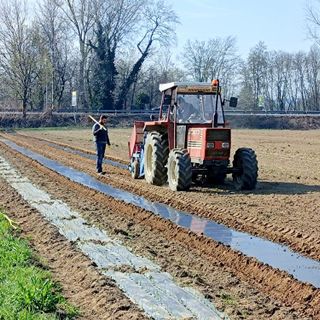 Siccità in agricoltura. A Borgomanero ricerca di soluzioni con la collaborazione tra Coldiretti, Novamont e Legambiente