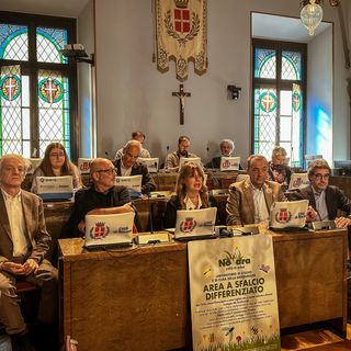 &quot;Novara Città in Erba&quot;: meno sfalci per più biodiversità
