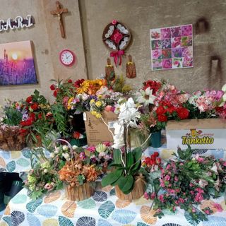 “Porta un fiore a chi non ce l’ha”: grande risposta dai cittadini di Trecate