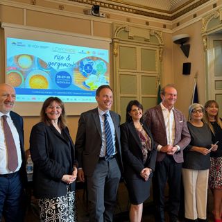 Novara celebra riso e gorgonzola: torna ExpoRice dal 26 al 28 settembre Novara celebra riso e gorgonzola: torna ExpoRice dal 26 al 28 settembre