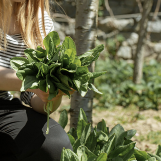 A Varallo Pombia torna la Festa dell’Agricoltura Biologica e Sociale: protagonisti natura, gusto e comunità