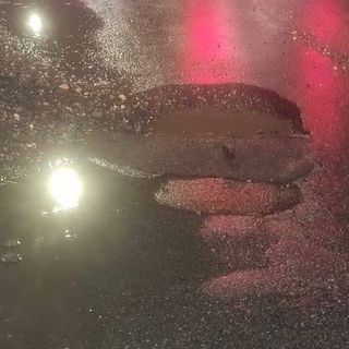 Buche e strade deteriorate, il Movimento 5 Stelle chiede conto all'amministrazione