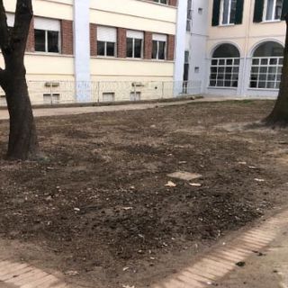 Un nuovo giardino per l'apprendimento e il divertimento: riqualificazione del cortile della scuola elementare di via Manzoni a Cameri