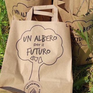 Insieme per l'Ambiente: Comune di Novara e Carabinieri forestali promuovono la sensibilizzazione ambientale tra i giovani