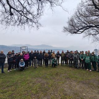 Focus sugli uccelli ittiofagi del Lago d'Orta e formazione per guardie e volontari Focus sugli uccelli ittiofagi del Lago d'Orta e formazione per guardie e volontari