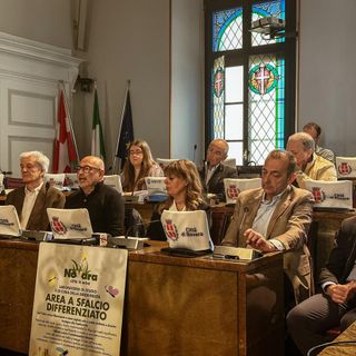 Novara Città in Erba: al via lo sfalcio differenziato per tutelare la biodiversità