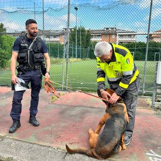 “La Protezione Civile in cartella”: gli alunni della primaria Rodari protagonisti di lezioni e simulazioni a Trecate