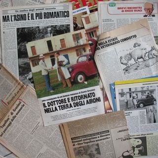 La Biblioteca Negroni riprende i Giovedì letterari on line: a giugno le puntate della serie tv di Una Topolino amaranto