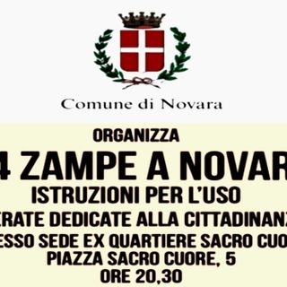 ''4 Zampe a Novara'': incontri per adozioni consapevoli