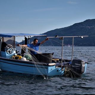 Da Lesa parte un progetto per rilanciare la pesca lacustre e valorizzare la filiera locale