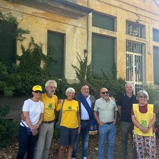 Arnie a Novara: le api tornano in città grazie al progetto di miele urbano