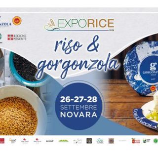 Exporice diventa “Riso &amp; Gorgonzola”: a settembre Novara celebra le sue eccellenze