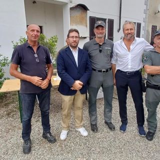 Suno-Mezzomerico, la Provincia adotta il decreto per il contenimento dei daini