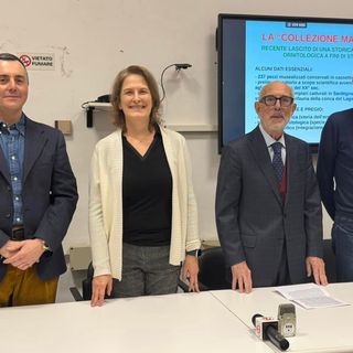 Novara, al Museo di Storia Naturale la donazione della collezione Marietti