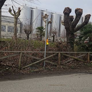 Ghemme, vandalizzati i cartelli stradali sul Lungo Mora