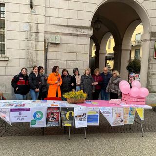 Galliate: l’8 marzo al mercato tra mimose