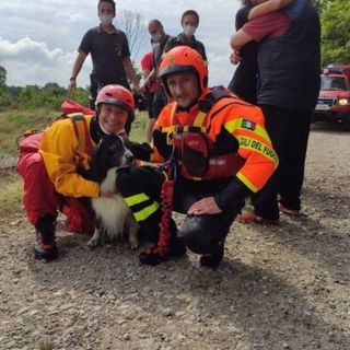 Novara, soccorso cane incastrato in un canale d'irrigazione