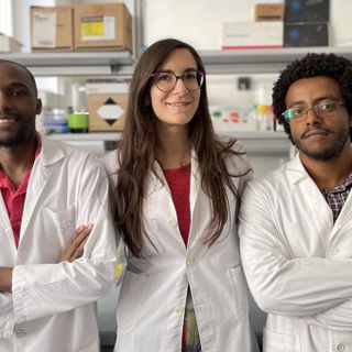 Dal lievito nero alla gomma naturale. Due studenti UPO vincono la competizione scientifica BISC-E