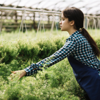 Coldiretti Piemonte: preservare il suolo per continuare a garantire produzioni agricole di qualità