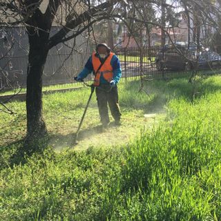 Nonostante l’emergenza sanitaria prosegue la manutenzione del verde