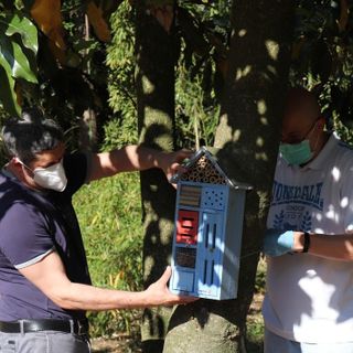 l Bioparco Roggia Moretta intallati 3 Bee Hotel