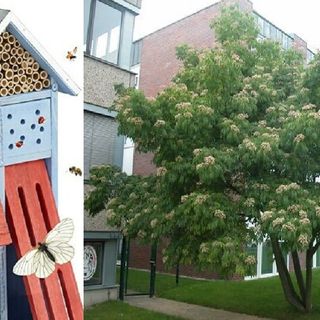Al Bioparco Roggia Moretta sarà installato un ‘Bee Hotel’