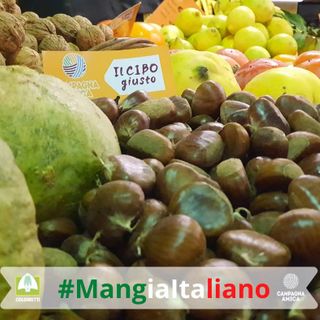 Sapori e profumi natalizi con l'agrimercato di "Campagna Amica"