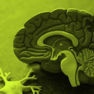 Cervello e dintorni: Alla scoperta dei segreti per una mente sana