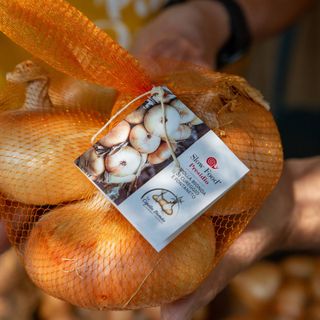 Terra Madre - Salone del gusto 2022, presentazione del Novarese e dei suoi prodotti tipici