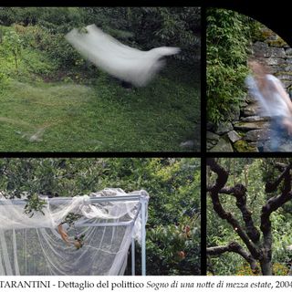 Si inaugura sabato 12 a Verbania ‘Giardini Disobbedienti’, la mostra fotografica di ‘Editoria e Giardini’ 2020