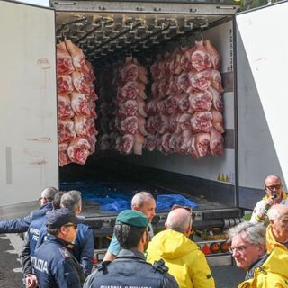 Coldiretti Novara-Vco: al Brennero scoperta uva indiana spedita a Novara