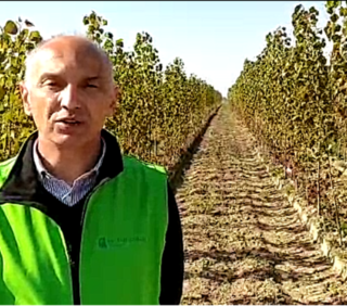 Confagricoltura: &quot;Pronti a collaborare al Patto per il Piemonte&quot;