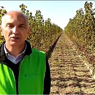 In arrivo fondi per le imprenditrici agricole, Confagricoltura: “Opportunità per il Piemonte&quot;