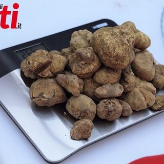 Asti in festa con la Fiera Nazionale del Tartufo