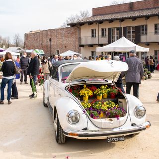 “Fiorissimo” torna al Castello di Novara: tre giorni dedicati a fiori, piante e creatività