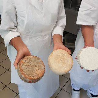 Un viaggio nel mondo del formaggio di capra, dove il rispetto per l’ambiente e per gli animali sposa tradizione e innovazione