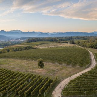 Al via l’itinerario “Monteregio in Tour – Colline Novaresi”